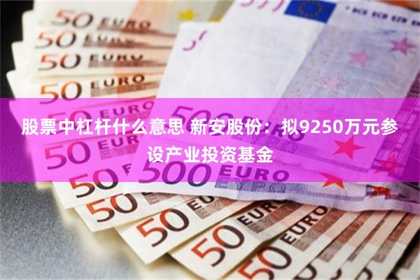股票中杠杆什么意思 新安股份：拟9250万元参设产业投资基金