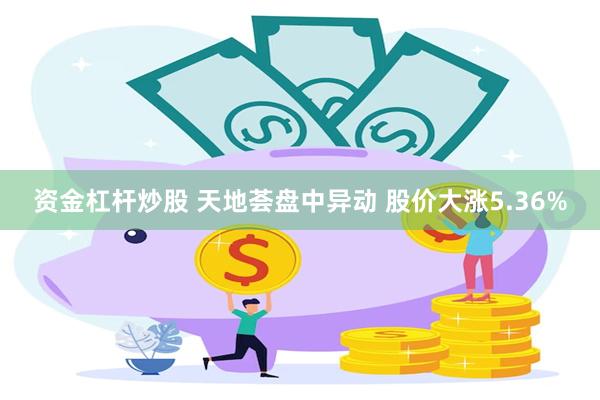 资金杠杆炒股 天地荟盘中异动 股价大涨5.36%