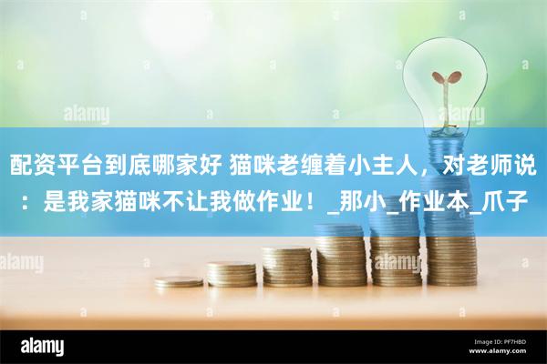 配资平台到底哪家好 猫咪老缠着小主人，对老师说：是我家猫咪不让我做作业！_那小_
