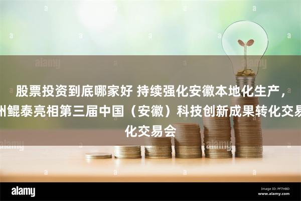股票投资到底哪家好 持续强化安徽本地化生产，神州鲲泰亮相第三届中国（安徽）科技创