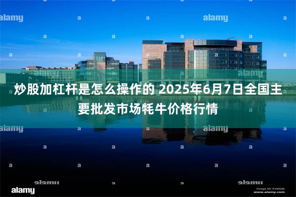炒股加杠杆是怎么操作的 2025年6月7日全国主要批发市场牦牛价格行情