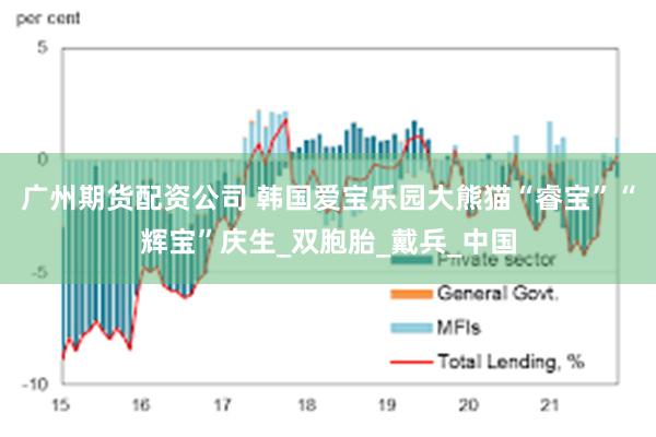 广州期货配资公司 韩国爱宝乐园大熊猫“睿宝”“辉宝”庆生_双胞胎_戴兵_中国