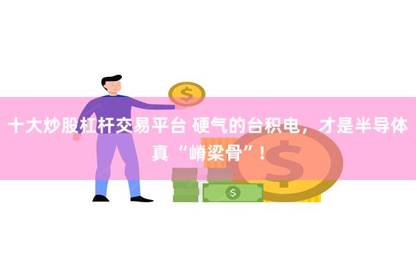 十大炒股杠杆交易平台 硬气的台积电，才是半导体真 “嵴梁骨”！