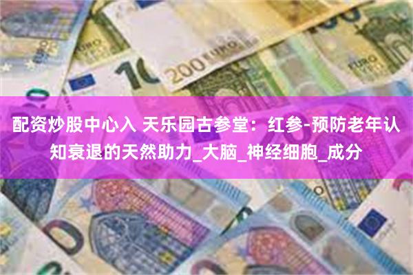 配资炒股中心入 天乐园古参堂：红参-预防老年认知衰退的天然助力_大脑_神经细胞_