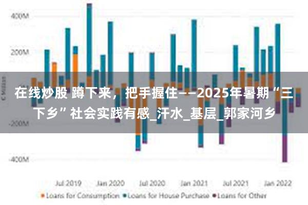在线炒股 蹲下来，把手握住——2025年暑期“三下乡”社会实践有感_汗水_基层_