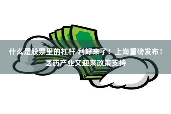 什么是股票里的杠杆 利好来了！上海重磅发布！医药产业又迎来政策支持