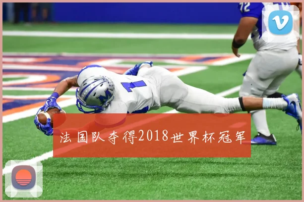 法国队夺得2018世界杯冠军