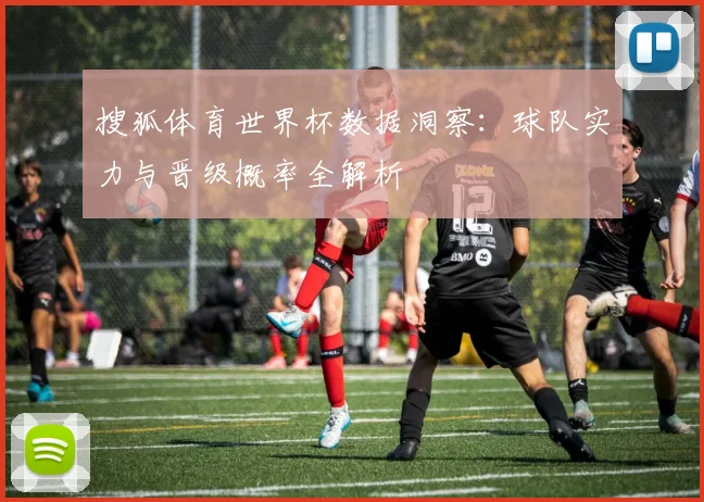 搜狐体育世界杯数据洞察:球队实力与晋级概率全解析