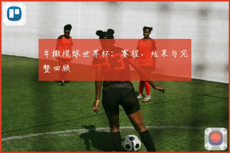 年橄榄球世界杯：赛程、结果与完整回顾