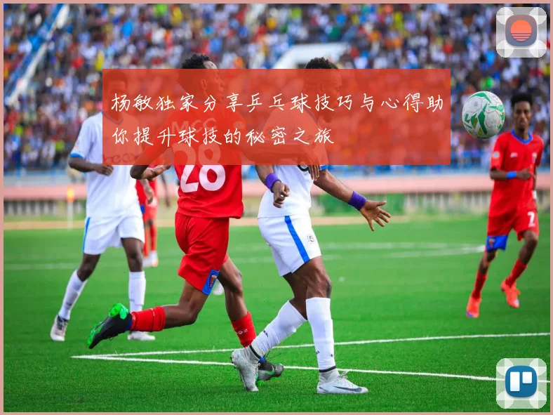 杨敏独家分享乒乓球技巧与心得助你提升球技的秘密之旅