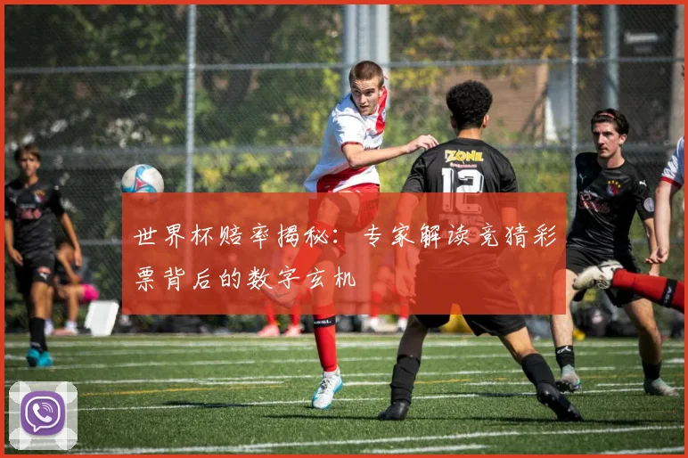 世界杯赔率揭秘:专家解读竞猜彩票背后的数字玄机