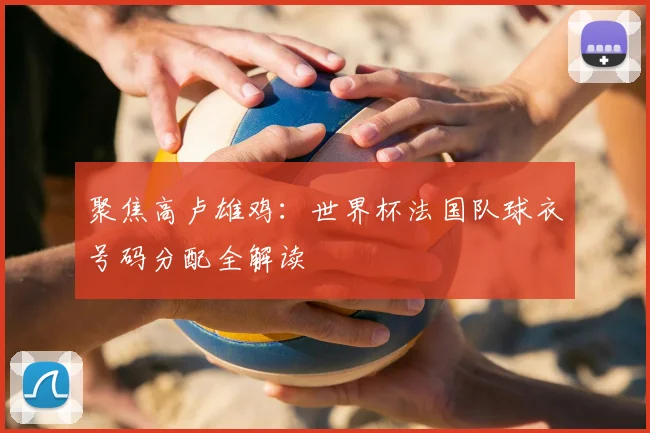 聚焦高卢雄鸡:世界杯法国队球衣号码分配全解读