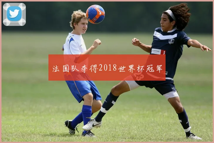 法国队夺得2018世界杯冠军