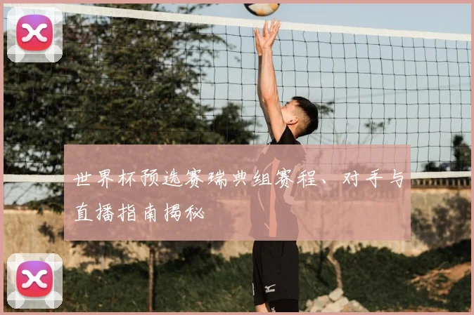 世界杯预选赛瑞典组赛程、对手与直播指南揭秘