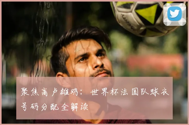 聚焦高卢雄鸡：世界杯法国队球衣号码分配全解读
