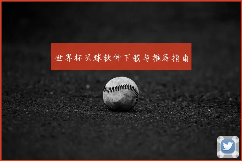世界杯买球软件下载与推荐指南