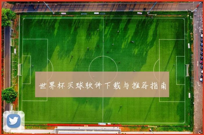 世界杯买球软件下载与推荐指南