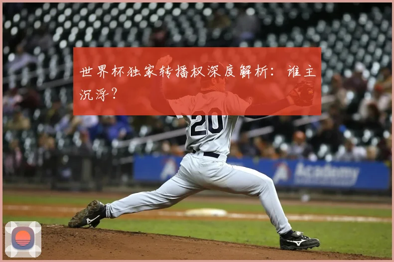 世界杯独家转播权深度解析:谁主沉浮?