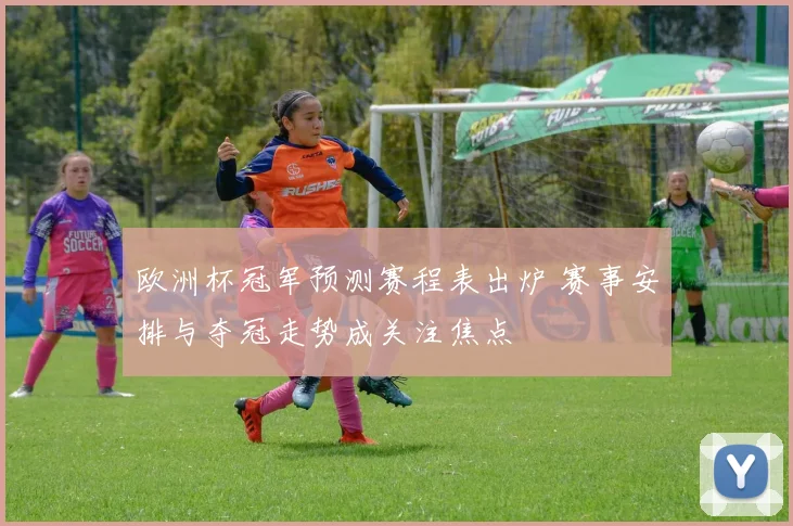 欧洲杯冠军预测赛程表出炉 赛事安排与夺冠走势成关注焦点