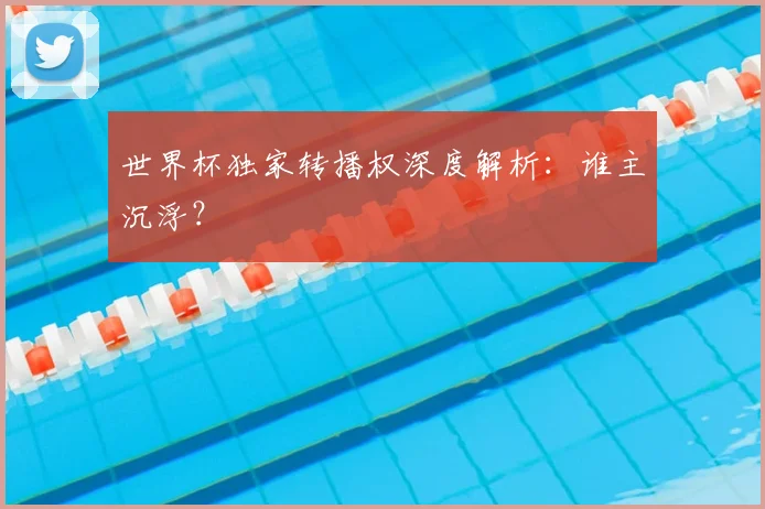 世界杯独家转播权深度解析：谁主沉浮？