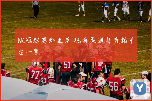 欧冠球赛哪里看 观看渠道与直播平台一览