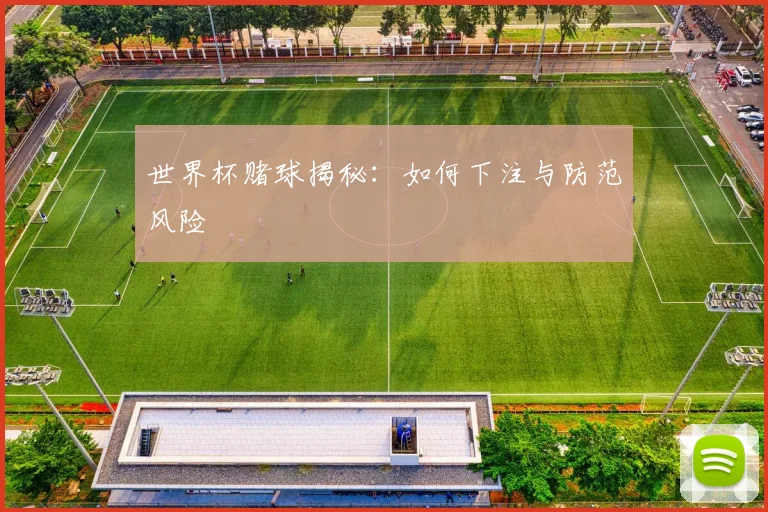 世界杯赌球揭秘:如何下注与防范风险